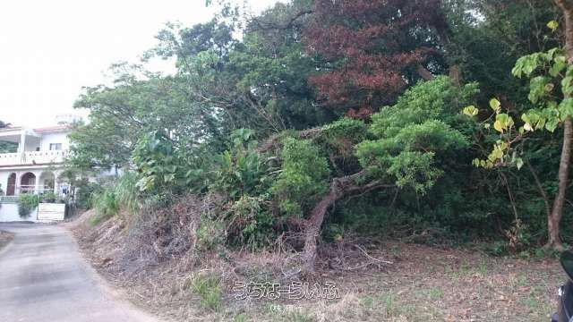 1031m² Land for Sale in Nago, Okinawa - Near Kouri Island - Image 1