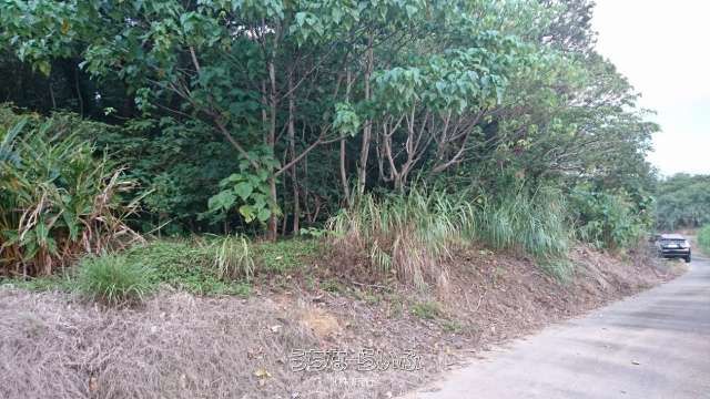 1031m² Land for Sale in Nago, Okinawa - Near Kouri Island - Thumbnail 4