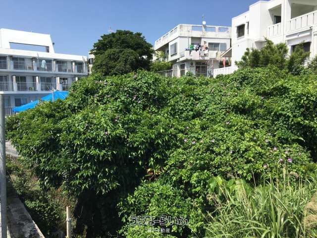 480.9 sqm Land Plot for Sale in Shuri, Naha City, Okinawa - Thumbnail 2