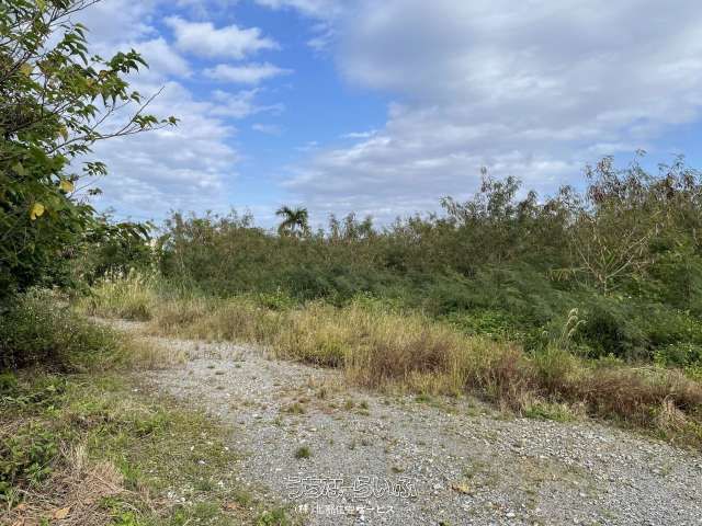 770 Tsubo Land for Sale in Motobu Town, Okinawa Near Ocean Expo Park - Thumbnail 2
