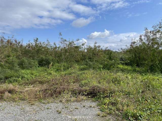 770 Tsubo Land for Sale in Motobu Town, Okinawa Near Ocean Expo Park - Image 1