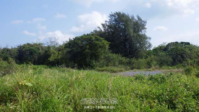 1124m² Land for Sale in Motobu, Okinawa - Apartment Development Site - Thumbnail 2