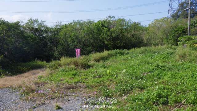 1124m² Land for Sale in Motobu, Okinawa - Apartment Development Site - Thumbnail 4