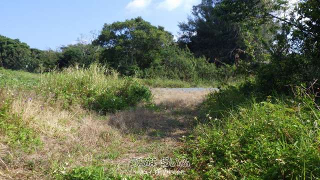 1124m² Land for Sale in Motobu, Okinawa - Apartment Development Site - Thumbnail 3