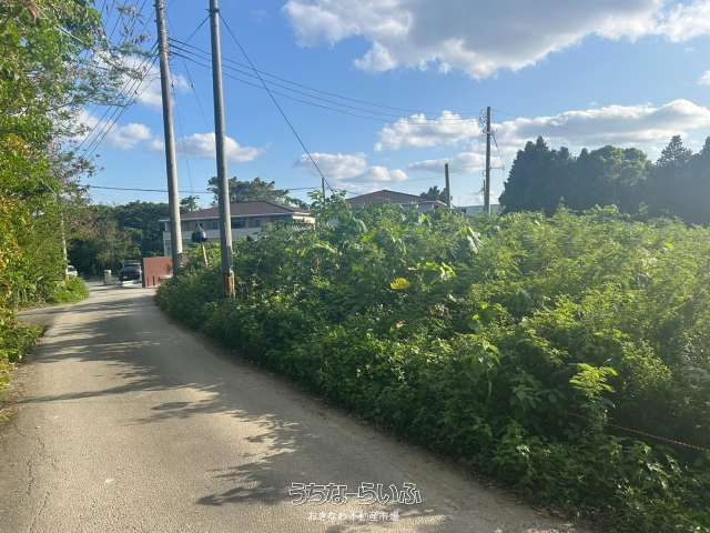 1147m² Land for Sale in Motobu Town, Near Churaumi Aquarium - Thumbnail 2