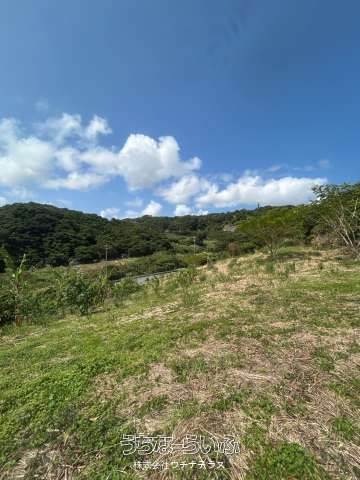 3105 sqm Business Land Plot in Nishihara Town, Okinawa - Thumbnail 3