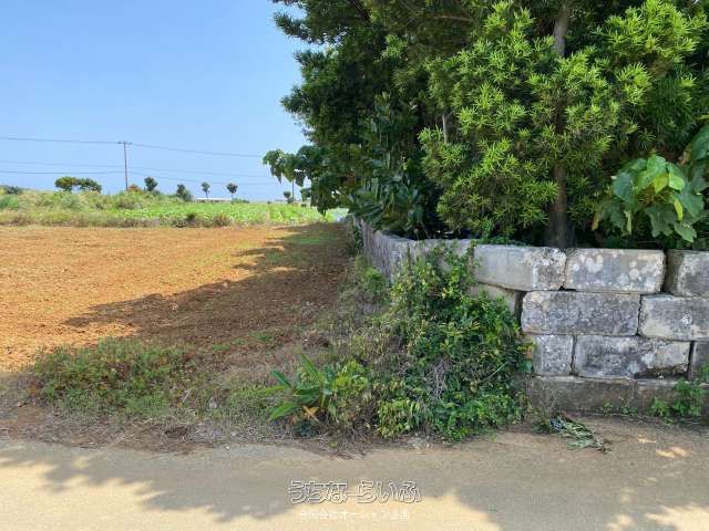 Land for Sale in Miyakojima Ueno with Ocean View Potential - Thumbnail 3