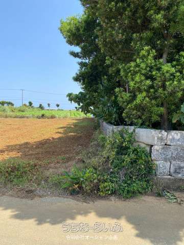 Land for Sale in Miyakojima Ueno with Ocean View Potential - Thumbnail 4