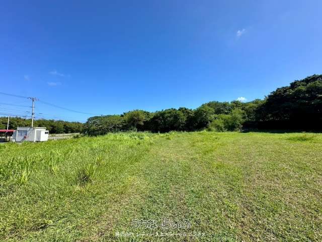 Land for Sale in Bise, Motobu - Near Fukugi Tree Road & Churaumi Aquarium - Thumbnail 3
