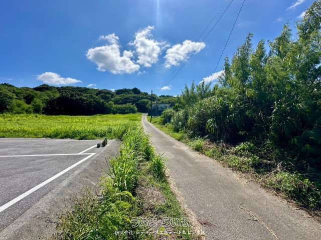 Land for Sale in Bise, Motobu - Near Fukugi Tree Road & Churaumi Aquarium - Thumbnail 2