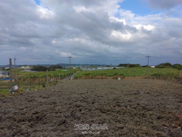 1477 sqm Agricultural Land for Sale in Yaese Town, Okinawa - Thumbnail 3