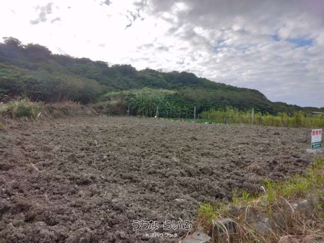 1477 sqm Agricultural Land for Sale in Yaese Town, Okinawa - Thumbnail 4