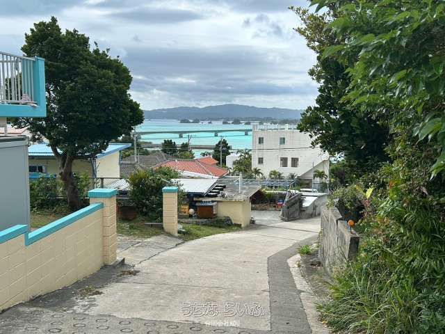 174m² Land for Sale on Kouri Island, Okinawa - Farmland Plot - Thumbnail 2