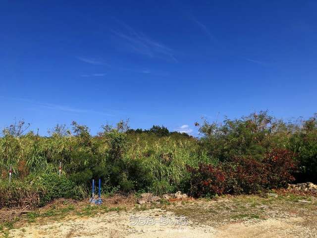 Ocean View Land for Sale on Miyakojima, Okinawa - 2,419 sqm - Thumbnail 4