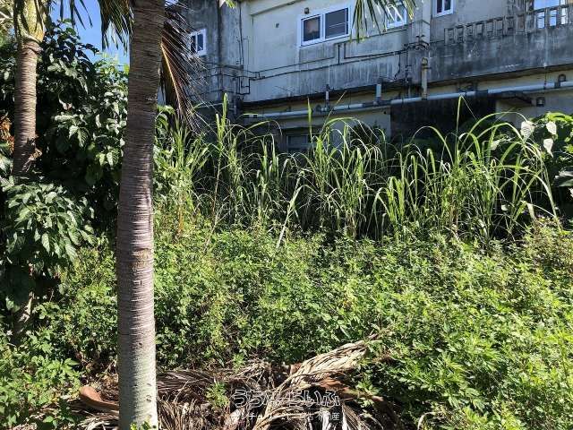 177 sqm Land Plot for Sale in Miyakojima City, Okinawa - Thumbnail 2