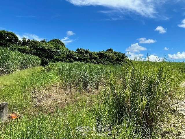 1830m² Agricultural Land for Sale in Nago City, Okinawa - Image 1