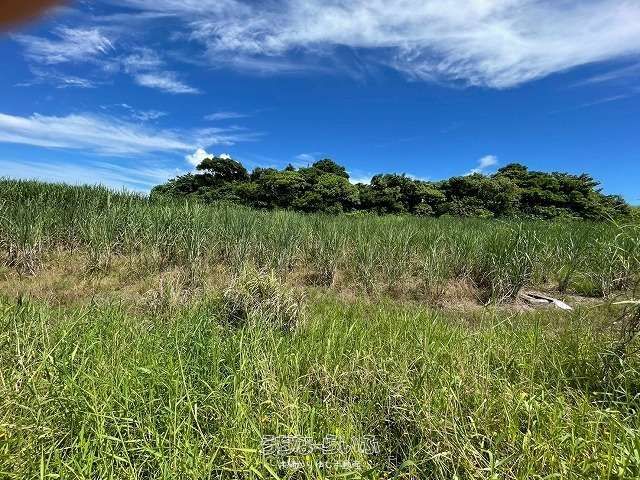 1830m² Agricultural Land for Sale in Nago City, Okinawa - Thumbnail 3