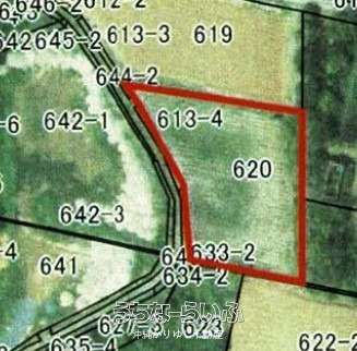 1830m² Agricultural Land for Sale in Nago City, Okinawa - Thumbnail 4