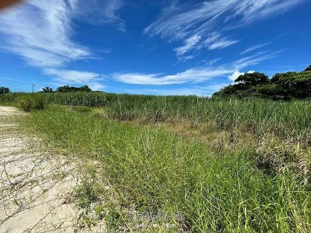 1830m² Agricultural Land for Sale in Nago City, Okinawa - Thumbnail 2