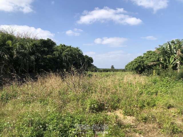 Land for Sale in Miyakojima City, Okinawa - 184.84 sqm - Thumbnail 2