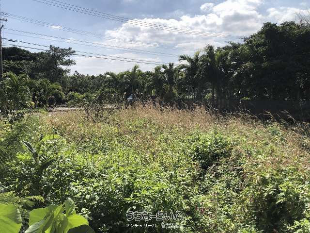 Land for Sale in Miyakojima City, Okinawa - 184.84 sqm - Thumbnail 3