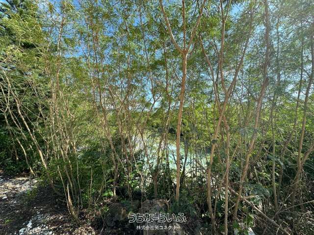 651m² Rental Land in Miyakojima, Near Shimojishima Airport - Thumbnail 2