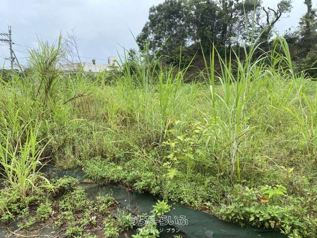 306 Tsubo Commercial Land for Sale Near Nakayama Intersection, Nago - Thumbnail 4