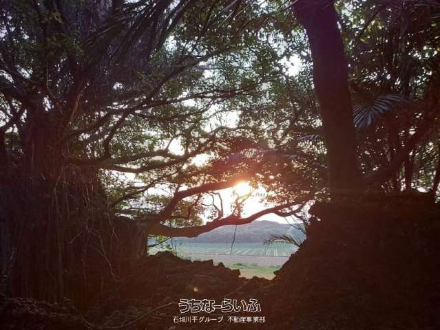 Miyara Gusuku 3440m² Land for Sale in Ishigaki, Okinawa - Thumbnail 2