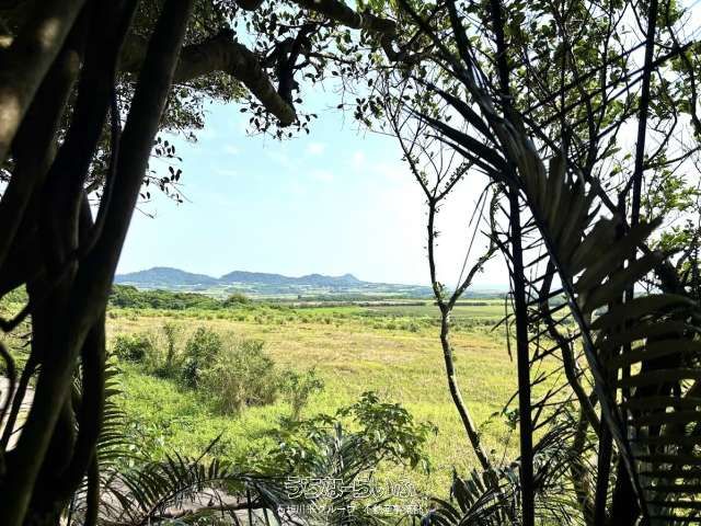 Miyara Gusuku 3440m² Land for Sale in Ishigaki, Okinawa - Thumbnail 3