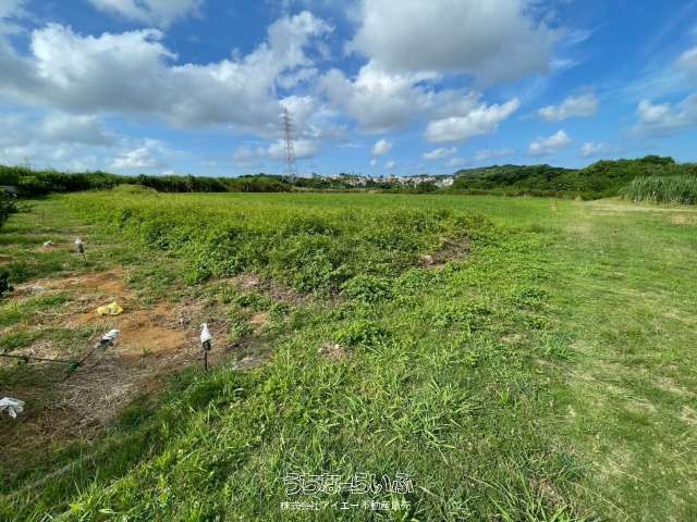 506m² Farmland for Sale in Yaese Town, Okinawa - Thumbnail 3