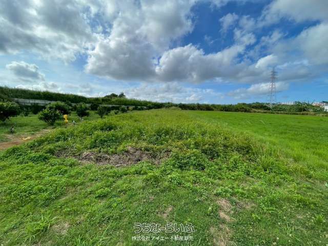 506m² Farmland for Sale in Yaese Town, Okinawa - Thumbnail 2