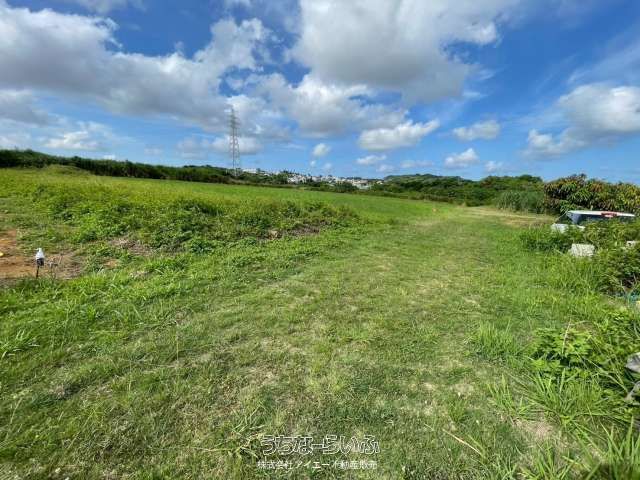 506m² Farmland for Sale in Yaese Town, Okinawa - Thumbnail 4