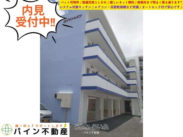 Pet-Friendly 1LDK Apartment for Rent in Urasoe, Okinawa - Thumbnail 4