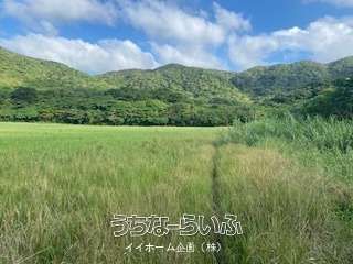 93,898 sqm Agricultural Land for Sale in Ishigaki, Okinawa - Thumbnail 3