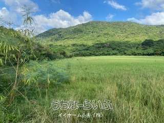 93,898 sqm Agricultural Land for Sale in Ishigaki, Okinawa - Thumbnail 2