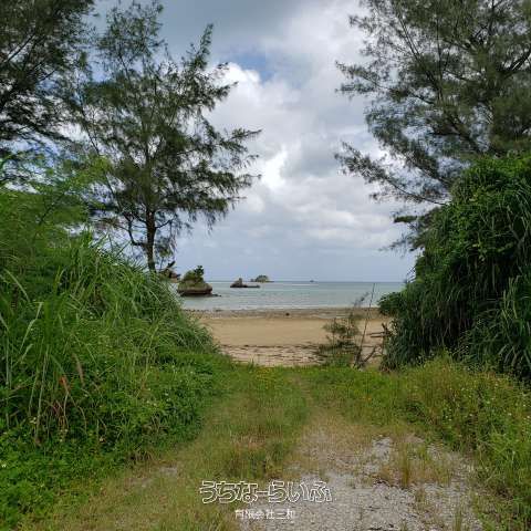 3550 sqm Land for Sale in Nago, Okinawa - Near the Sea - Thumbnail 2