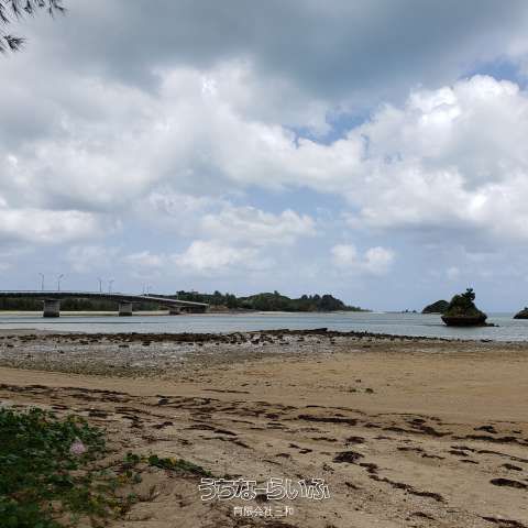3550 sqm Land for Sale in Nago, Okinawa - Near the Sea - Thumbnail 3