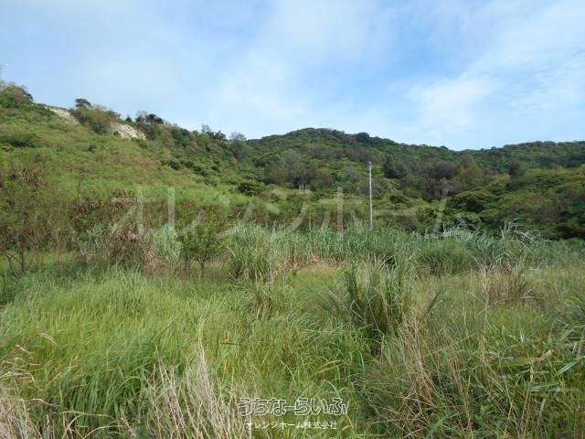 930m² Agricultural Land for Sale in Nanjo City, Okinawa - Thumbnail 3