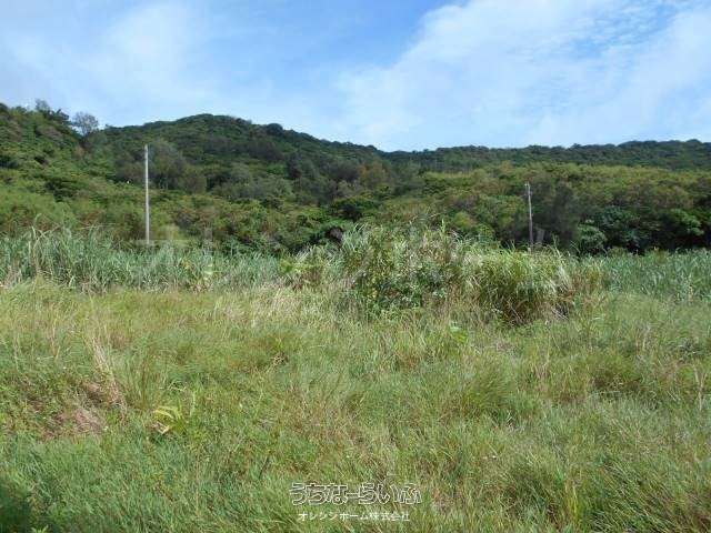 930m² Agricultural Land for Sale in Nanjo City, Okinawa - Thumbnail 4