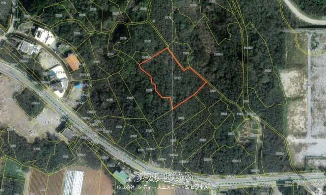 Land for Sale in Bise, Motobu Town, Okinawa - 1585 sqm