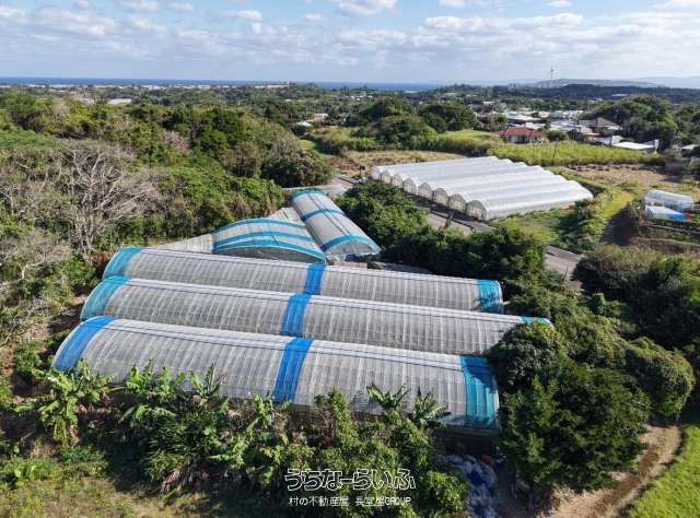 1614m² Development Land for Sale in Nakijin, Okinawa - Thumbnail 3