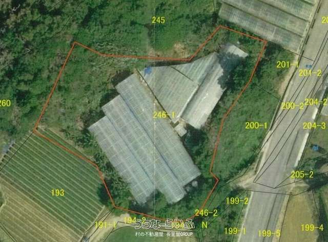 Operational Mango Farm for Sale in Nakijin, Okinawa with 3M Yen Revenue - Thumbnail 3