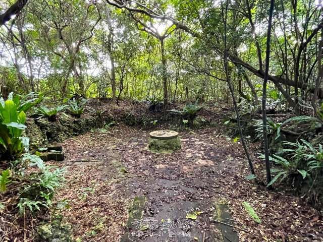2443 sqm Land for Business Use in Miyakojima, Okinawa - Thumbnail 3