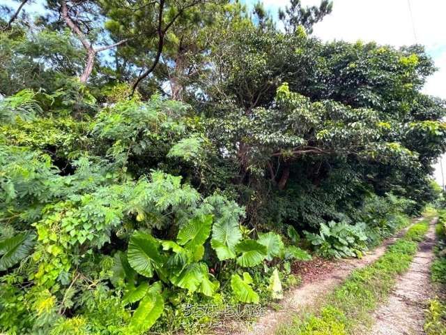 2443 sqm Land for Business Use in Miyakojima, Okinawa - Thumbnail 4