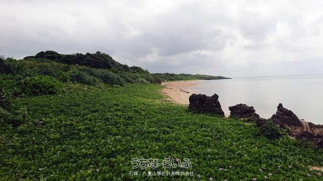 11,507 Tsubo Development Land in Ishigaki with Permit History - Thumbnail 3