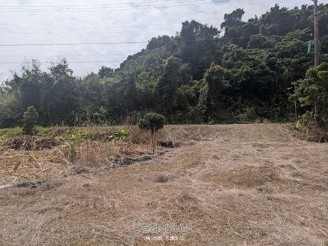 542 sqm Land for Sale in Kogachi, Nago, Okinawa - Thumbnail 2
