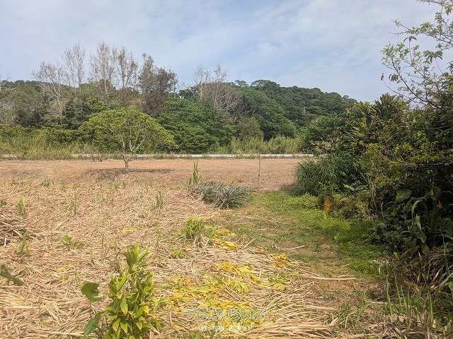 542 sqm Land for Sale in Kogachi, Nago, Okinawa - Thumbnail 3