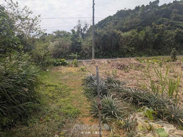 542 sqm Land for Sale in Kogachi, Nago, Okinawa - Thumbnail 4