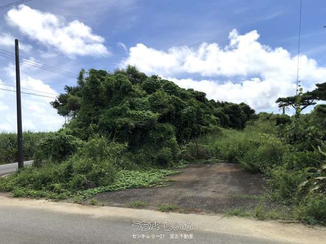 728 Tsubo Land for Sale in Miyakojima City, Okinawa - Thumbnail 2