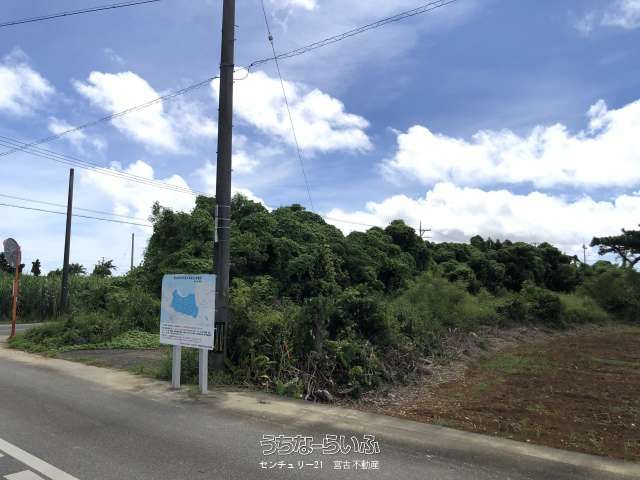 728 Tsubo Land for Sale in Miyakojima City, Okinawa - Thumbnail 4